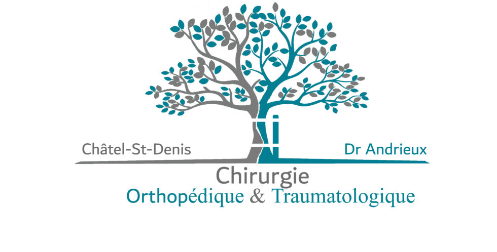 Chirurgie Orthop Dique Ch Tel Saint Denis Cyril Andrieux